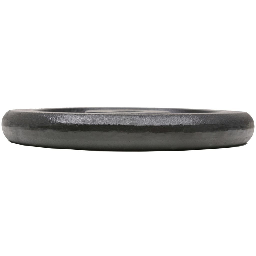 Weight Plates 4 pcs 30 kg Cast Iron